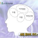 풀과나무한의원 이미지
