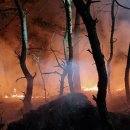 자산동135 이미지