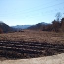 (AT-1116)대전근교 전원토지, 금산군 군북면 주말농장용 추천 금산전원토지 이미지