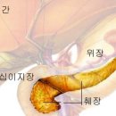 세중주 이미지