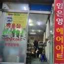임은영헤어아트