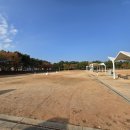 스포츠파크 족구장 네이버블로그