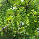 기원커피방 이미지