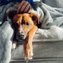 세바코리아 이미지