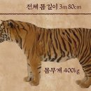 대호 이미지