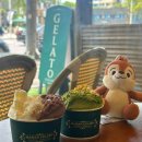 명달리 정자 옆 화장실 | [경기/정자] 정자 카페거리 아이스크림 맛집 마망젤라또 내돈내산 후기