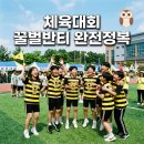 꿀벌문구 | 체육대회 꿀벌반티 추천 귀여운 세트 소품과 센스 있는 문구까지