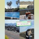 제주 오름 산책 | [제주여행] 3월의 제주 2박3일 여행기(총경비/일정)