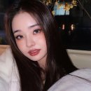 프리지아 이미지