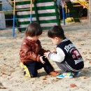 변동초등학교 이미지