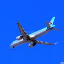 칠곡경북대병원정문 건너 버스정류장 | [20231113] 영남대역