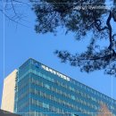 검찰청정문 | 출생신고서 열람 후기 준비물 온라인 나이 서울북부지방법원