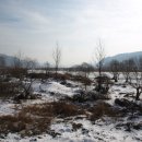 안동포마을 이미지