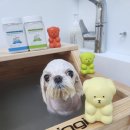 아리미용실 이미지