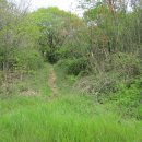 함평나비(무안) 이미지