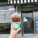 카페에솔로지