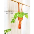 수원-0283 이미지