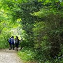 칼봉산자연휴양림 이미지