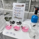 크레넬제이파충류샵 | 안산 파충류샵 크레넬제이 방문 후기!