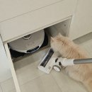 더자주 | 고양이 집사 LG 로봇청소기 무선청소기 더 자주 쓴 제품 후기