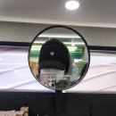 삼호약국 | 이따이이따이 그치만 7월까지 살아야하는 이유