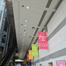 세정대왕 | 2024 막걸리엑스포 막스포 후기