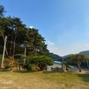 서산소나무힐링 이미지