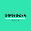 강원백운산삼농원 이미지