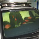 현대수족관 이미지