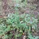 한이농장 이미지