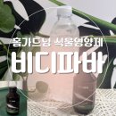 옥신농장 | 식물영양제 코퍼트 비디파바 사용 후기｜화분영양제 뿌리발근제 추천 홈가드닝 필수템