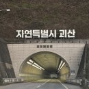 예산초 단풍나무길 | 괴산 문광저수지 은행나무길 실시간 단풍 후기 (11/3 11월 3일)