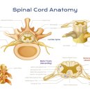 금천삼성본정형외과의원 이미지