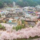 사계절 이미지