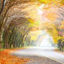 공단옛길 이미지