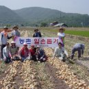 의령농협 유곡지점 이미지