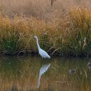 강변에서 이미지