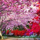 완산-12 전북중앙신문