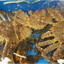 전라도 수산 이미지