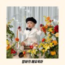 비파이야기 | 프레비파밀레 아이폰 스냅 내돈내산 돌잔치 후기 (짝꿍할인)
