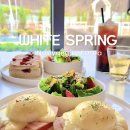 화이트 스프링(WHITE SPRING) 이미지