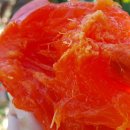 의리농장 이미지