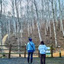 수도산민박 이미지