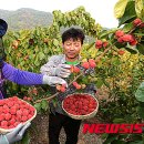 김광연 농장 이미지