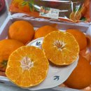 태현농장 이미지