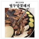 열두달꽃돼지 이미지
