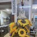 깊은 치유 | 정읍 신태인 장수회관 묵은지갈비찜 후기 – 묵은지의 깊은 풍미와 친구들과의 치유의 한 끼