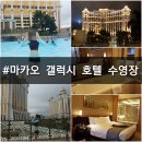 마카오 갤럭시 호텔 수영장 솔직 후기!