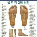 다섯발가락 이미지