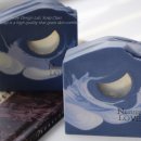 물결치는 달빛 ( 이미지